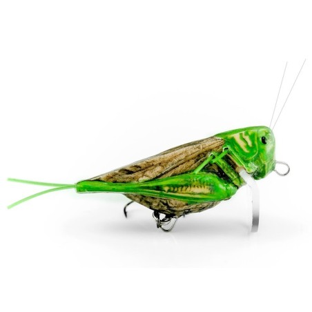 Imago grasshopper lure
