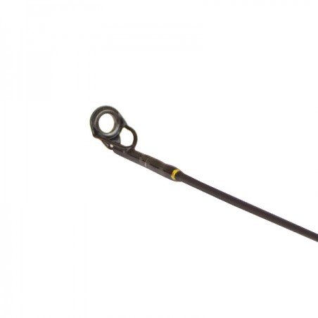 Scion canne héritage 2-12 gr
